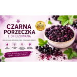 Czarna porzeczka liofilizowana Czarna porzeczka liofilizowana