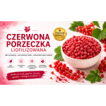 Czerwona porzeczka liofilizowana Czerwona porzeczka liofilizowana
