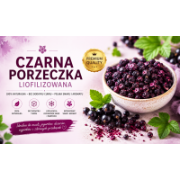 Czarna porzeczka liofilizowana