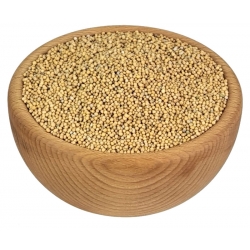 GORCZYCA BIAŁA OWOC 500g