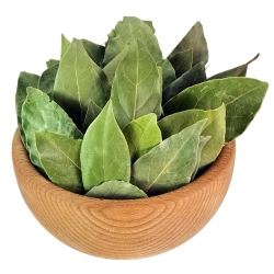 LIŚĆ LAUROWY 100g